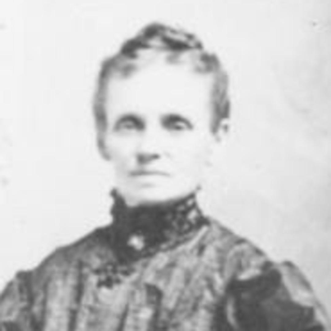 Sarah Ann Bradshaw (1850 - 1942) Profile